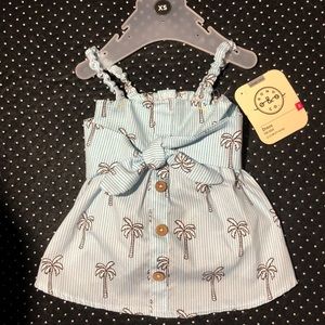 XS Blue pinstripe & palm trees 🌴 sundress 4 pooch